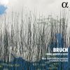 Download track Bruch: String Quintet In E-Flat Major, Op. Posth.: IV. Andante Con Moto - Allegro Ma Non Troppo Vivace