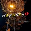 Download track 埋葬前任的缘分