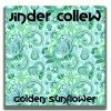 Download track Golden Sunflower (Radio Edit)