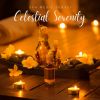 Download track Celestial Night Symphony