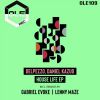 Download track House Life (Gabriel Evoke Remix)