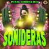 Download track Al Ritmo De Las Cañas