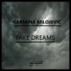 Download track Fake Dreams