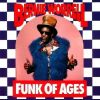 Download track Funk-A-Hall-Licks