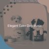 Download track Piano Jazz Soundtrack For Doggy Training