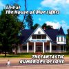 Download track House Of Blue Lights