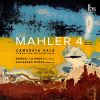 Download track Symphony No. 4 In G Major (Arr. C. Domínguez-Nieto For Chamber Orchestra): II. In Gemächlicher Bewegung, Ohne Hast