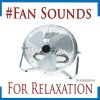 Download track Open Air Ceiling Fan (With Distant Forest Sounds)