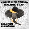 Download track Gangsta Walrus Trap