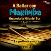 Download track Alma De Mi Tierra