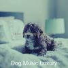 Download track Brilliant Backdrops For Resting Dogs