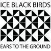 Download track Ice Black Birds