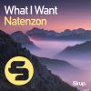 Download track What I Want (Original Club Mix)