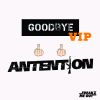 Download track Goodbye (VIP MIX)