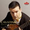 Download track Canções Típicas Brasileiras, W158 No. 6, Vióla Quebrada (Arr. For Guitar By Laurindo Almeida)