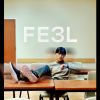 Download track FE3L (Acoustic)