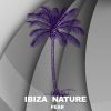 Download track March Continuation (Ibiza Son Dub Remix)