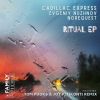 Download track Ritual (Tom Pooks & Joy Kitikonti Remix)