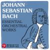 Download track Suite For Orchestra No. 1 In C Major, BWV 1066: I. Overture