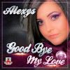 Download track Good Bye My Love (Instrumental Mix)