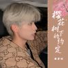 Download track 樱花树下的约定 (烟嗓版)