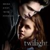 Download track Flightless Bird, American Mouth