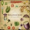 Download track Physalis Peruviana