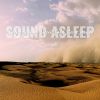 Download track Deep Egyptian Desert Sand Storm Sounds, Pt. 11