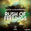 Download track Rush Of Feelings