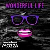 Download track Vie Wonderful (Sombre Electro)