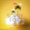 Download track Sorry For U (Slow Down Version)