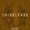 Download track México Tribal