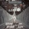 Download track Bridge Of Life