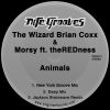 Download track Animals (New York Groove Mix)