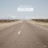 Download track Brachium (Extended Mix)