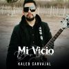 Download track Mi Vicio Mas Grande