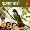 Download track Aranmula Kannadi