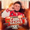 Download track Balançado Gostosinho