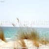 Download track Soothing Ballad