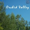 Download track Orchid Valley (Intro)