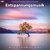 Download track Entspannungsmusik Pt. 6