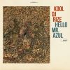 Download track Hello Mr. Azul