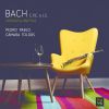 Download track Bach Violin Partita No. 2 In D Minor, BWV 1004 IV. Gigue