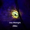 Download track Into Midnight, Pt. 4