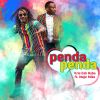 Download track Penda Penda