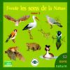 Download track Le Pigeon Ramier