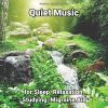 Download track Quiet Music, Pt. 56