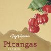 Download track Pitanga Vinte E Tres