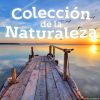 Download track Piano En La Naturaleza