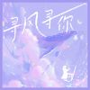 Download track 寻风寻你 (伴奏)